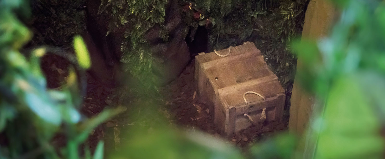 Box
